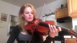 Lesson on Hoffmeister Viola Concerto Mvt 1 Part 1 [upl. by Nnaeirb693]