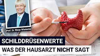 Schilddrüsenwerte was der Hausarzt NICHT sagt  Interview mit Prof Dr Wienecke [upl. by Jemmy]