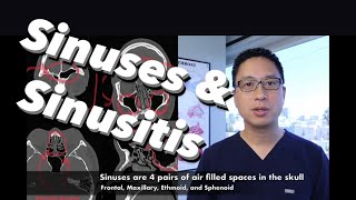 Sinuses Sinusitis Sinus Surgery Overview  what are sinuses what do they do how do we treat them [upl. by Berenice]