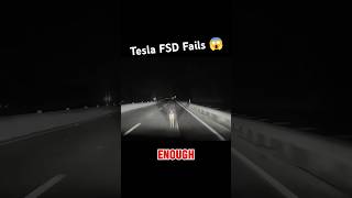 Tesla’s FSD Fails To Detect Deer On The Road Doesn’t Even Slow After Impact shorts teslafsdbeta [upl. by Kiyoshi]