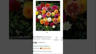 dahaliaseedseeds germinatingseeds gardening garden flowers ytshortsshorts trending [upl. by Gotthelf]