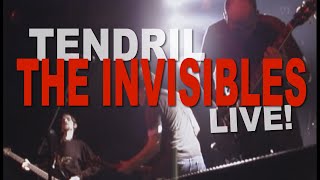 TENDRIL  The Invisibles  LIVE [upl. by Nochur456]