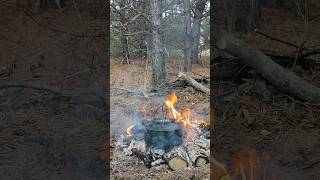 Solo trip in the forest  Bushcraft bushcraft skogsbad woodsman bowsaw [upl. by Sergio]