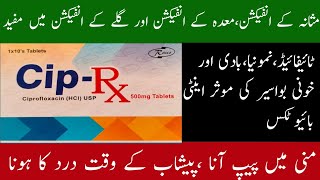 cip rx tablet uses in urdu  cip rx tablet 500mg  ciprofloxacin tablets ip 500mg uses [upl. by Yzdnil327]