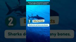 2 Amazing Fun Facts for Students shorts amazingfacts funfacts [upl. by Ennovahc]