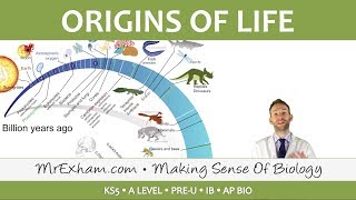 Origins of Life  LUCA endosymbiosis and multicellularity  Post 16 Biology A Level PreU IB [upl. by Einnij]