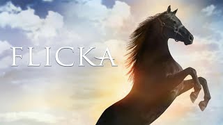 Flicka Collection DVD Menu Walkthroughs [upl. by Ahsielat]