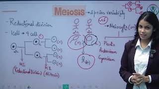 L  2  CELL Cycle and Cell Division  Class 11  UP Board  CBSE  NCERT  Phyzital Classes [upl. by Ranjiv935]