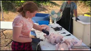 How to Process a Chicken in a Few Easy Steps Glassen Farms a Nanaimo Farming Guide [upl. by Robb953]