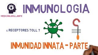 Inmunidad Innata II  Receptores Toll [upl. by Iteerp720]