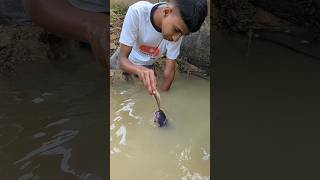 Attractive Unique Hand Fishing Challenge Video😲fishinghandfishingshorts [upl. by Catima917]