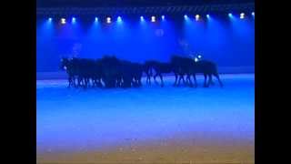 GPTV Fries Paarden Stamboek 130 jaar en All over the World [upl. by Stoecker]