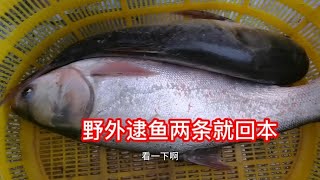 60块钱一张网外出逮鱼，仅仅搞了两条大鱼就回本，猜猜这鱼有多大 [upl. by Arvid482]