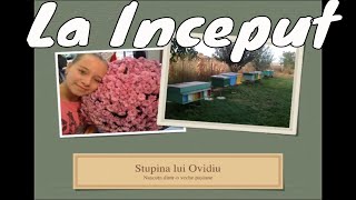 Stupina lui Ovidiu BEE VLOG 2 [upl. by Kcirrag]