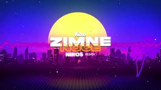 Kizo  Zimne noce NIROS REMIX COVER AI [upl. by Aseena338]