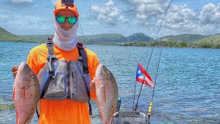 🎣PROBANDO EL OLD TOWN SALTY 120 PDL  Pesca en Guanica PR  KAYAK FISHING🤙🎣 [upl. by Dronski]