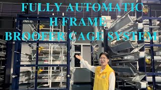 Our fully automatic H frame brooder cage system [upl. by Annaerdna94]