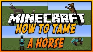 ✔ How To Tame and Ride a Horse in Minecraft [upl. by Callas604]