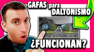 LENTES para DALTONISMO ¿Funcionan ¿Se cura [upl. by Ednutey737]