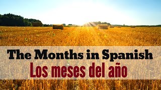 Months of the Year in Spanish  Los Meses del Año en Español [upl. by Balduin]