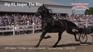 Hip 61 Jasper The Man  250000  Mid Ohio Memorial Trotting Sale 2023  Top Seller [upl. by Veljkov]