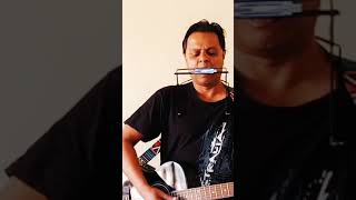 Shivers Dillons Harmonica And Guitar Rendition [upl. by Aivilys]