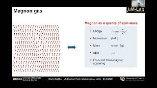 Magnon BoseEinstein Condensation [upl. by Ellynad446]