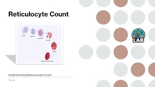 Reticulocyte Test Uses and Interpretation [upl. by Narba]