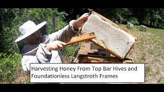 Harvesting Honey From Top Bar Hives and Foundationless Langstroth Frames [upl. by Edwina]