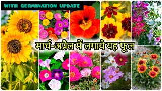 मार्च अप्रैल में लगाये इन् फूलों को  Top 20 Summer flowering plants From seed To saplings update [upl. by Acysej]