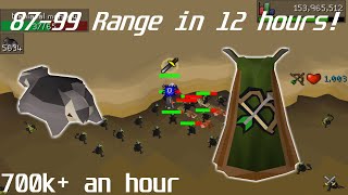 OSRS Achieving 99 Range  8799 in 12 hours [upl. by Smada]