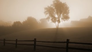 Aquascape  Sunrise in Fog Visualization [upl. by Aretta]