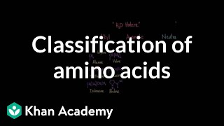 Classification of amino acids  Chemical processes  MCAT  Khan Academy [upl. by Neelyahs]