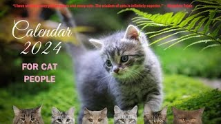 Cats Calendar 2024 13 pages [upl. by Dachy]