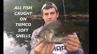 Aussie Bass Fishing Coolendel NSW 2015 [upl. by Emya]