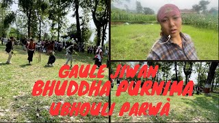 GAULE JIWAN BUDDHA PURNIMA AND UBHOULI KO SUBHAKAMANA [upl. by Goober]