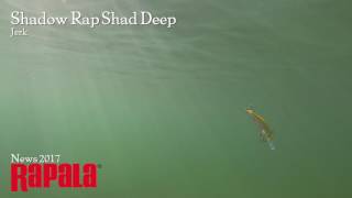 Rapala Shadow Rap Shad Deep Jerk [upl. by Enyaht]