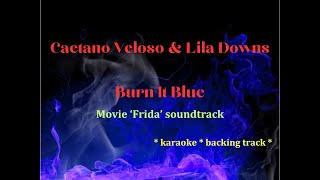 Caetano Veloso amp Lila Downs  Burn It Blue  karaoke  backing track  from the movie quotFridaquot [upl. by Legir]