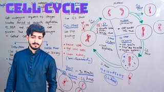 Cell cycle and Inter phase  G1 S G2 and G0 phase of Cell cycle  Chapter 21 Biology 12th [upl. by Alak622]