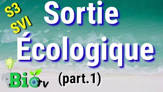 Sortie écologique s3  rappel  écosystème aquatique [upl. by Marco]