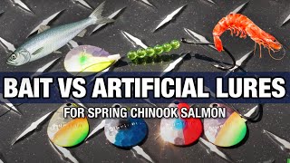 Herring amp Prawns VS Spinners amp Superbaits SALMON FISHING Tips amp Tricks [upl. by Aileve]