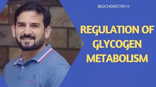 Regulation of Glycogen  Glycogen Regulation in liver amp Muscle Hormonal Regulation of Glycogen [upl. by Himelman]