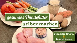 Hundefutter selber machen REZEPT für ein gesundes langes Hundeleben [upl. by Lydon]