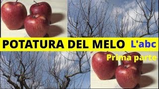 POTATURA DEL MELO nozioni base OS 71 [upl. by Atter429]