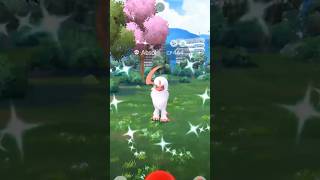 ✨I Caught THIS Shiny Pokemon On Stream In Pokemon Go✨ pokemon shorts [upl. by Erina542]