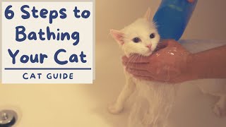 How to Bathe your Cat that Hates Water 6 Step Tutorial  The Cat Butler [upl. by Llerraj]