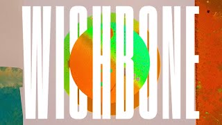 Django Django  Wishbone Official Visualiser [upl. by Yddub]