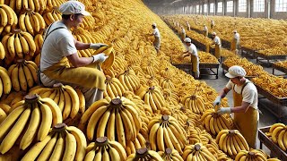 Como Os Agricultores Colhem E Processam Milhões De Toneladas De Abacaxis Bananas E Açúcar De Palma [upl. by Bedad]