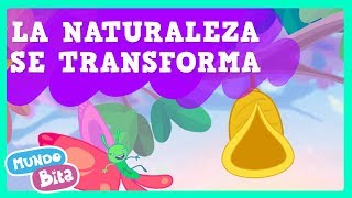 🌾🌺🌲 La Naturaleza Se Transforma 🌾🌺🌲 Canciones Infantiles Mundo Bita [upl. by Niwdog]