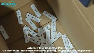 Lateral Flow Printer For Lateral Flow Cassettes Printing  UV Printer For Rapid Test Manufacturing [upl. by Ynnahc]